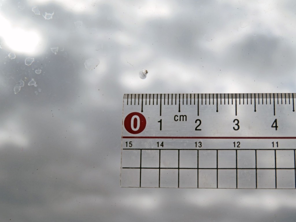 いすゞ フォワード 2RG-FRR90T2(2WD)の写真19