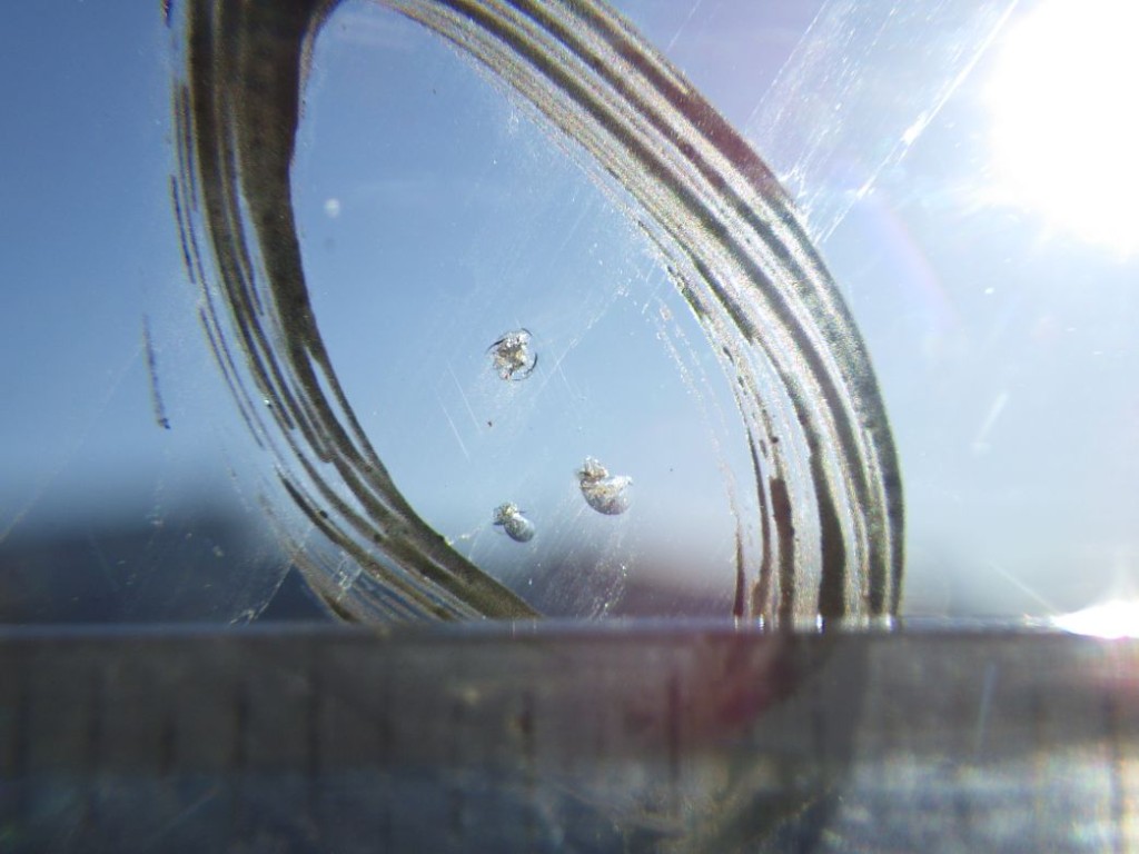 フロントガラスに飛び石キズがあります。|日野 レンジャー 2PG-FE2ABAの写真17