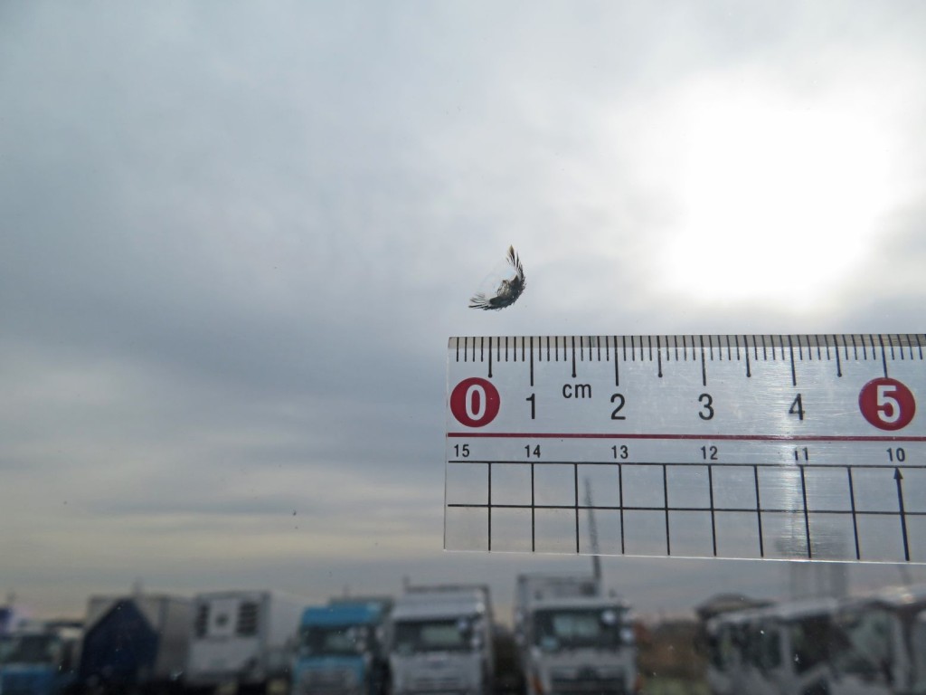 三菱 ファイター TKG-FK64F(2WD)の写真21