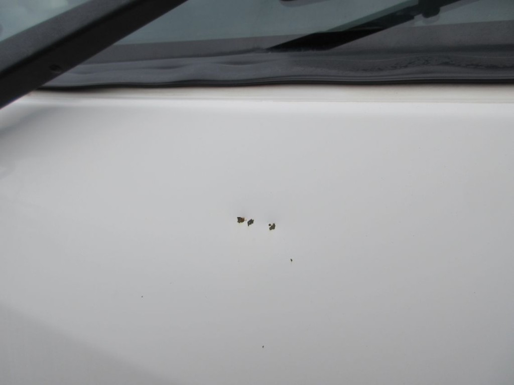 フロントパネルにキズ・ヘコミがあります。|日野 デュトロ SDG-XZU700X(2WD)の写真24