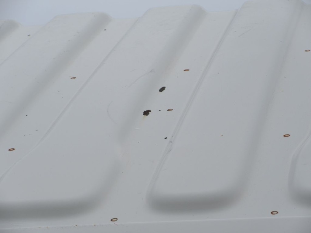 ルーフにキズ・サビがあります。|日野 デュトロ SDG-XZU700X(2WD)の写真29