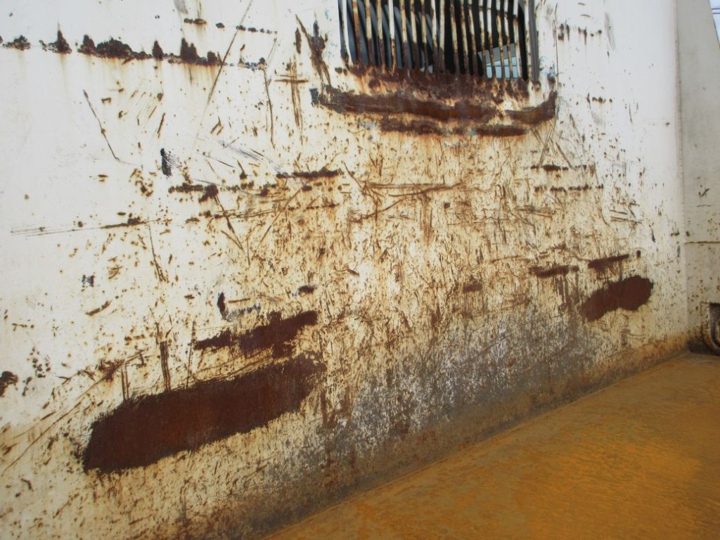 プロテクター裏側にキズ・サビ・ヘコミがあります。|日野 デュトロ SDG-XZU700X(2WD)の写真37