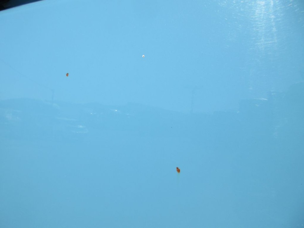 フロントパネルに飛び石キズがあります。|いすゞ フォワード SKG-FRR90T2(2WD)の写真24