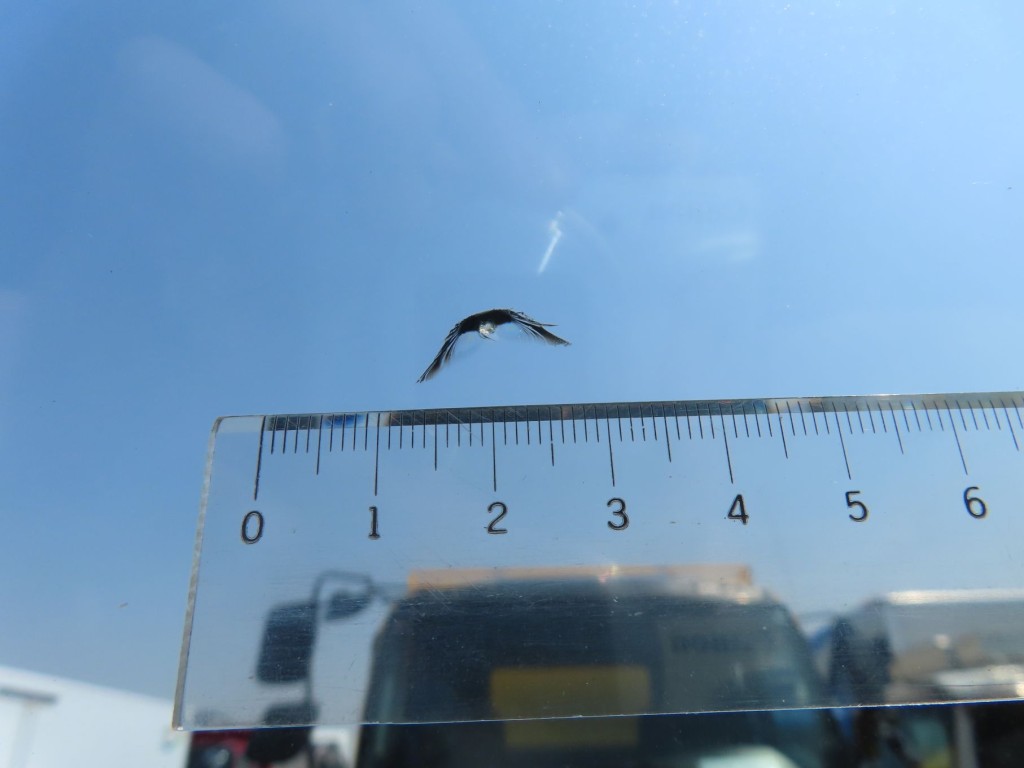 いすゞ エルフ TKG-NKR85N(2WD)の写真17