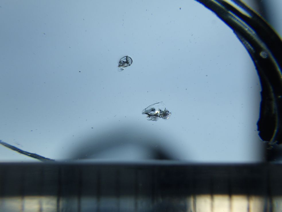 フロントガラスに小キズがあります。|いすゞ フォワード 2RG-FRR90S1(2WD)の写真13