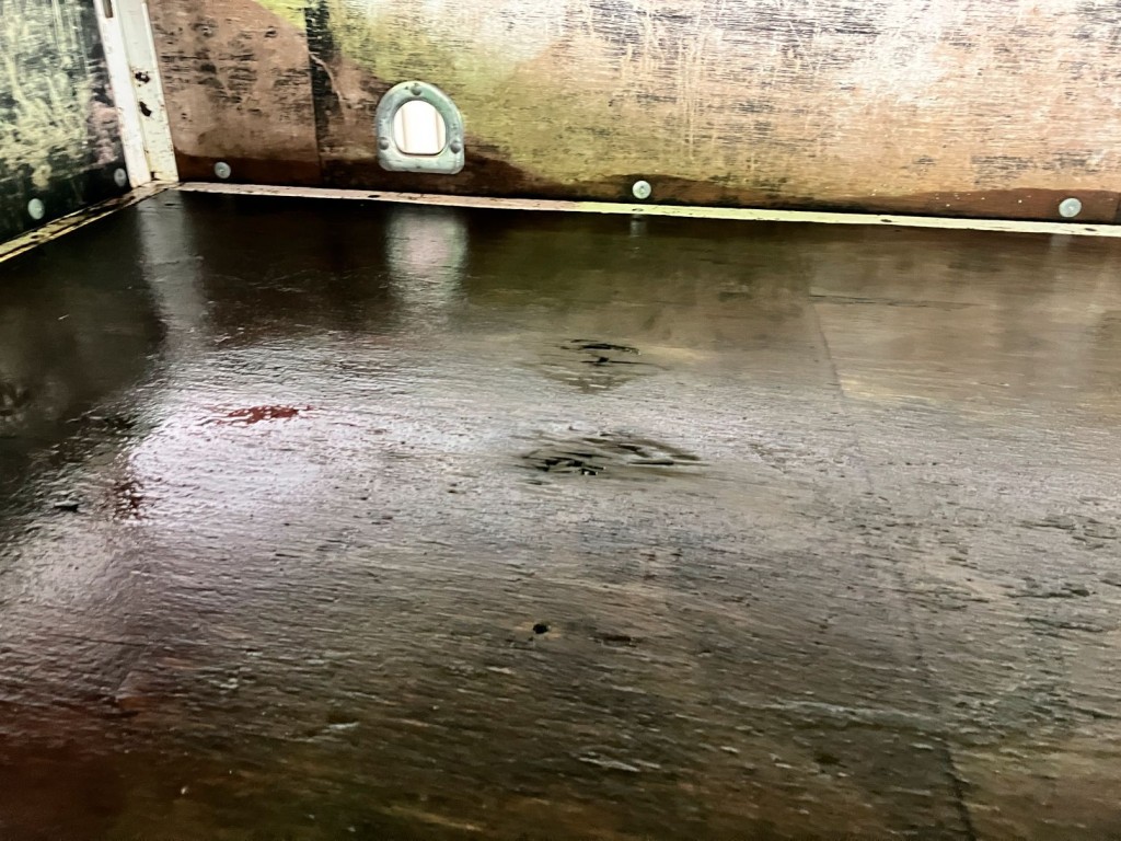 三菱 キャンター TPG-FEA50(2WD)の写真9