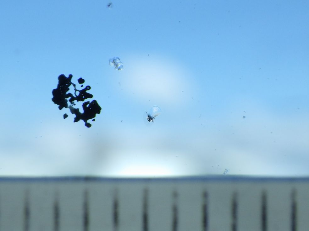 フロントガラスに針先キズがあります。|三菱 ファイター LDG-FQ62Fの写真24