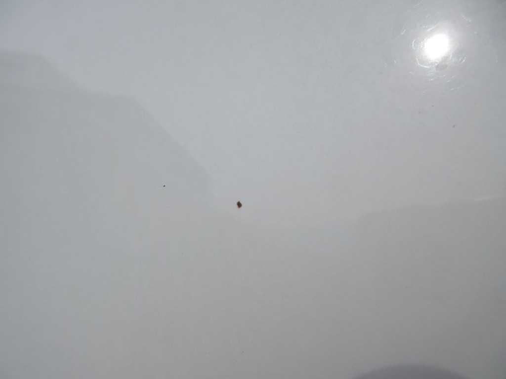 フロントパネルに飛び石キズがあります。|三菱 スーパーグレート 2PG-FV70HXの写真23