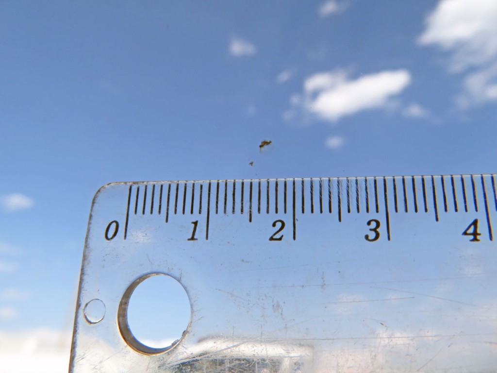 日野 レンジャー QKG-FE7JPAAの写真12