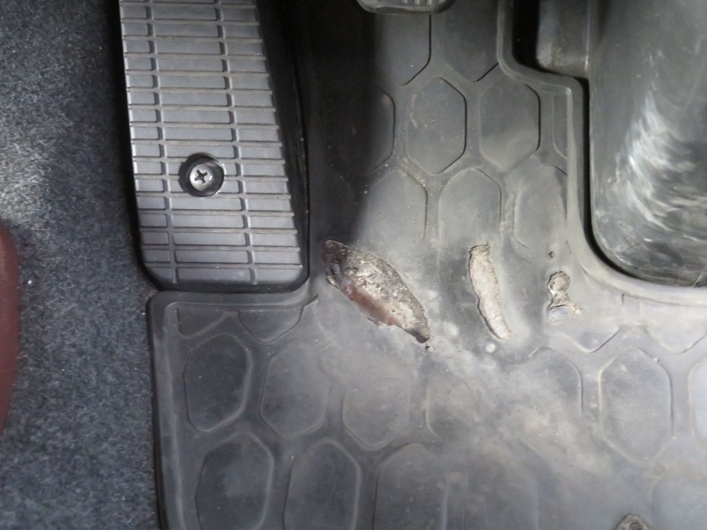 日野 レンジャー 2KG-FC2ABA(2WD)の写真32