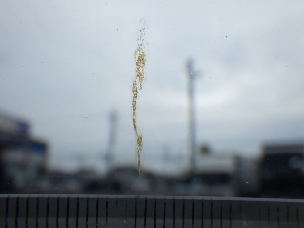 フロントガラスに溶接トビがあります。|三菱 キャンター TPG-FBA60(2WD)の写真13