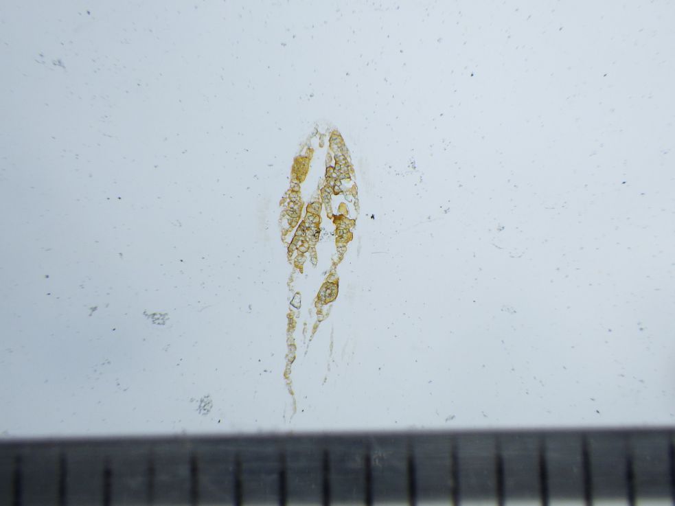 三菱 キャンター TPG-FBA60(2WD)の写真14