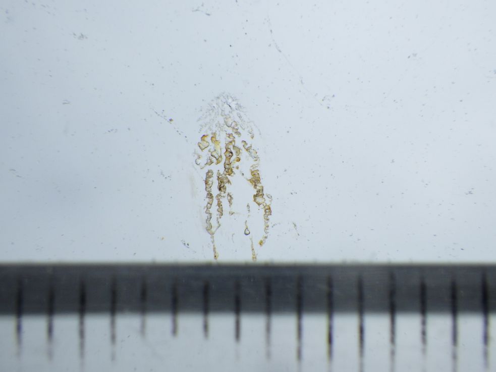 三菱 キャンター TPG-FBA60(2WD)の写真15