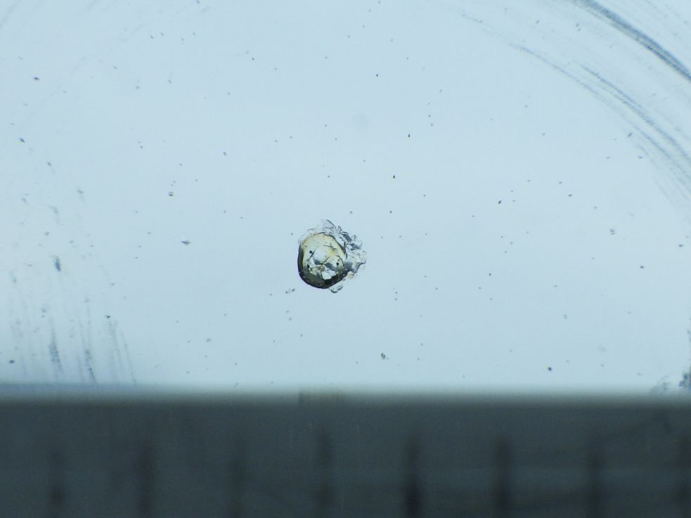 フロントガラスに小キズがあります。|いすゞ フォワード TKG-FRR90S1(2WD)の写真18