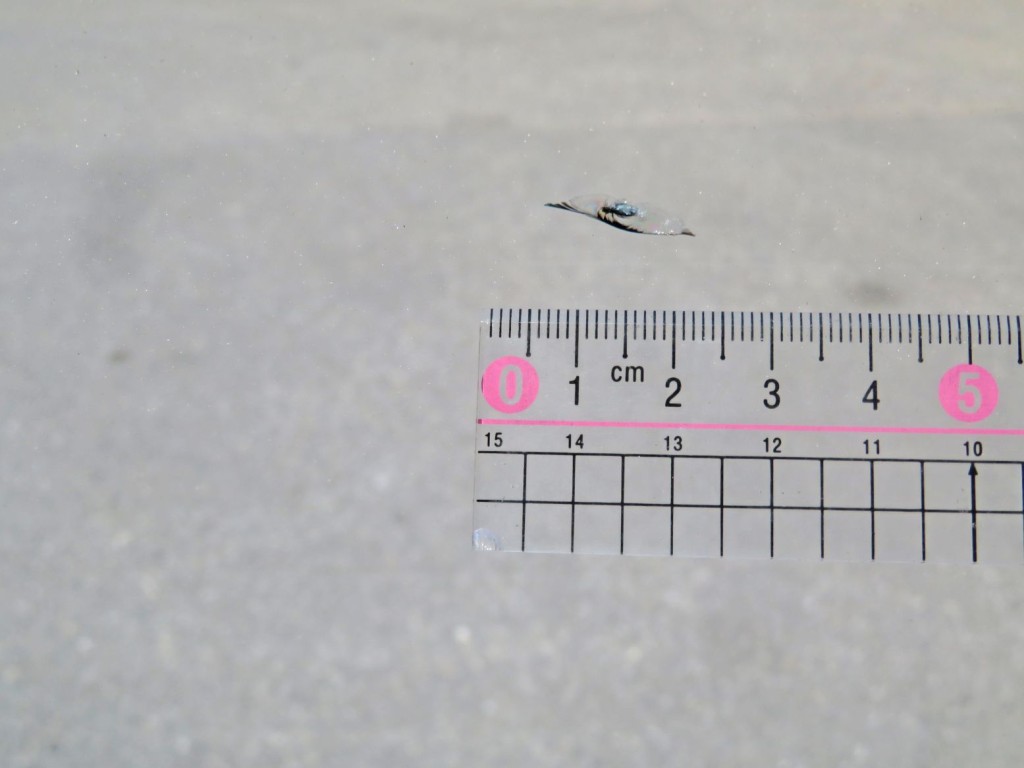 フロントガラスに飛び石跡があります。|いすゞ エルフ TPG-NMR85N(2WD)の写真17