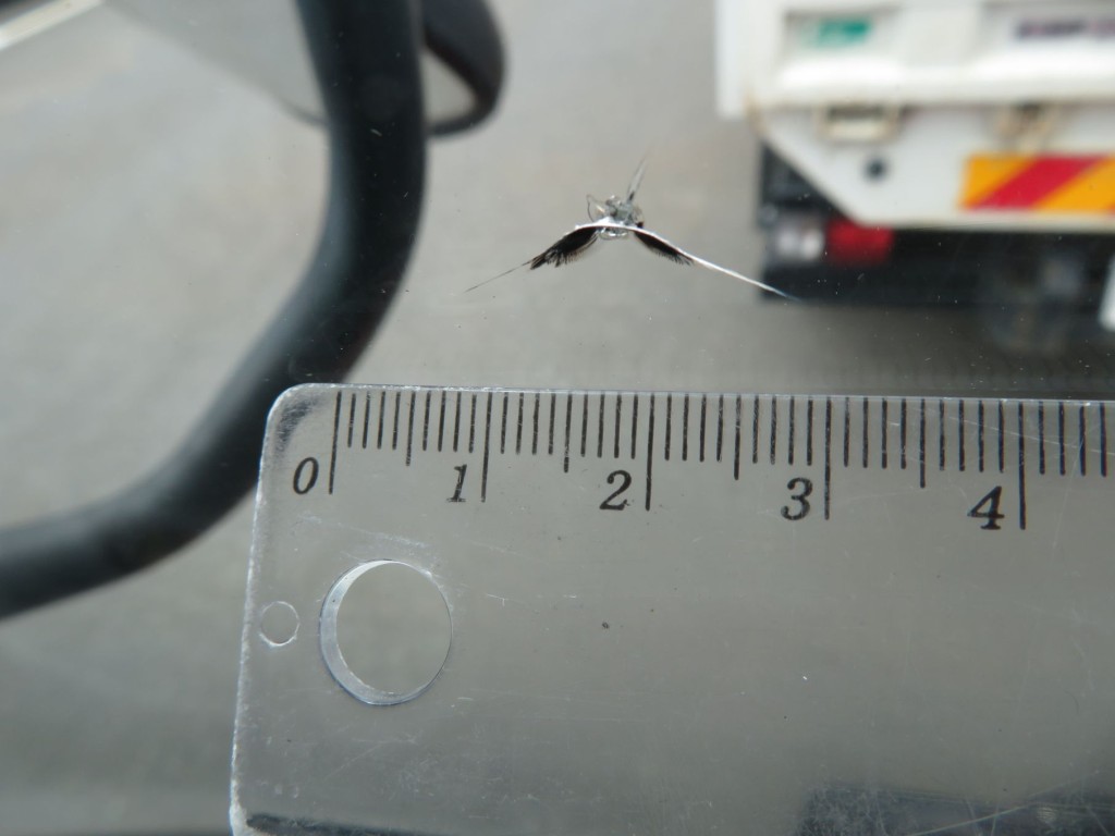 フロントガラス助手席側に飛び石跡があります。|UDトラックス コンドル QDG-PW39Lの写真20