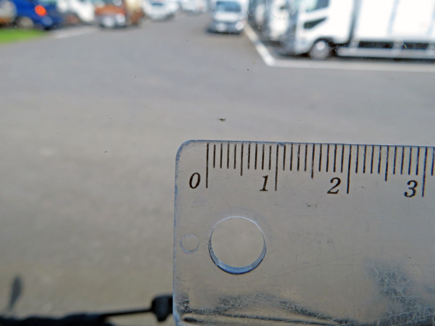 フロントガラス運転席側に小キズがあります。|三菱 キャンター 2PG-FEBM0(2WD)の写真17