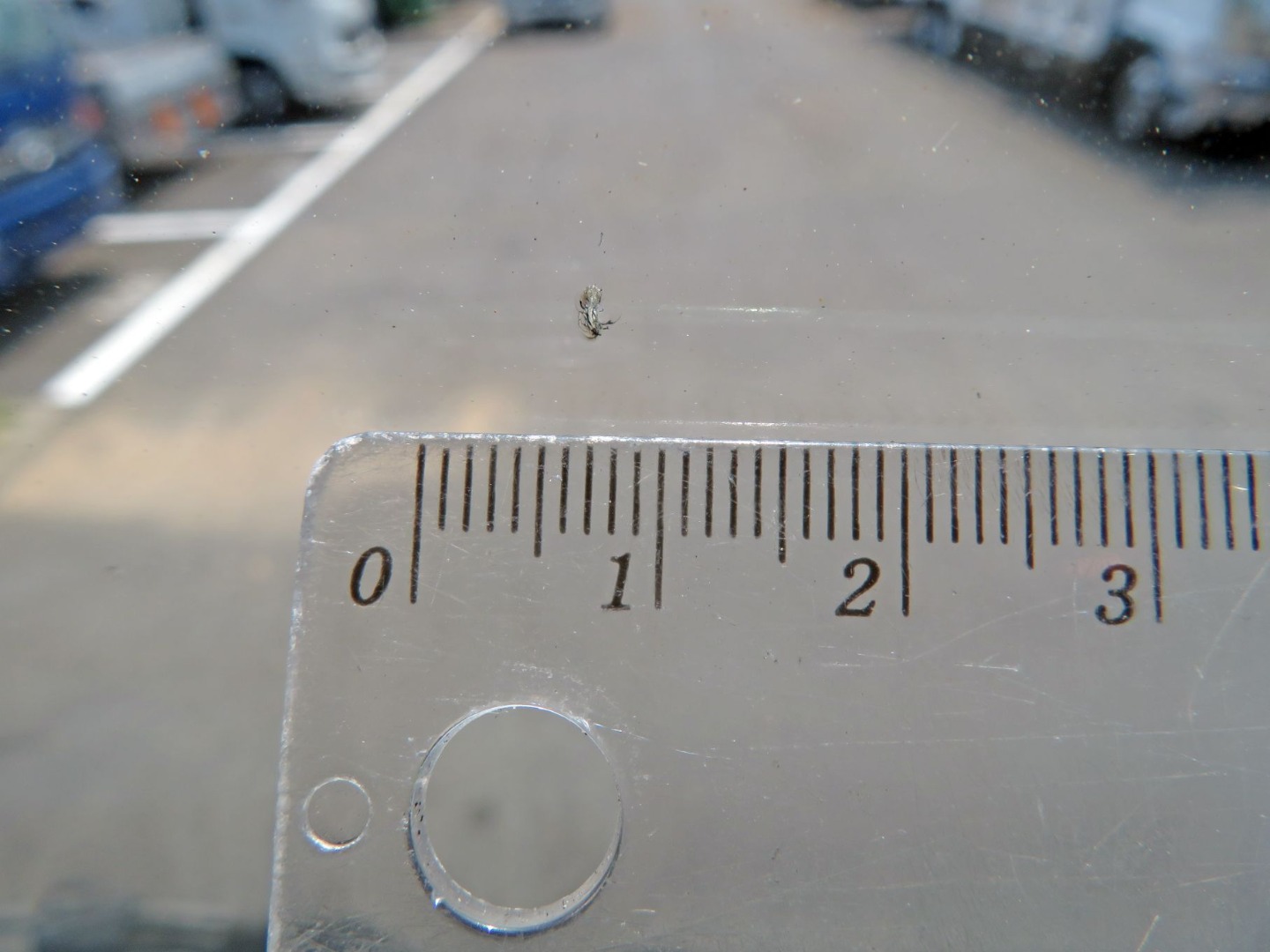 フロントガラス運転席側に飛び石跡があります。|いすゞ ギガ QKG-EXD52AEの写真13