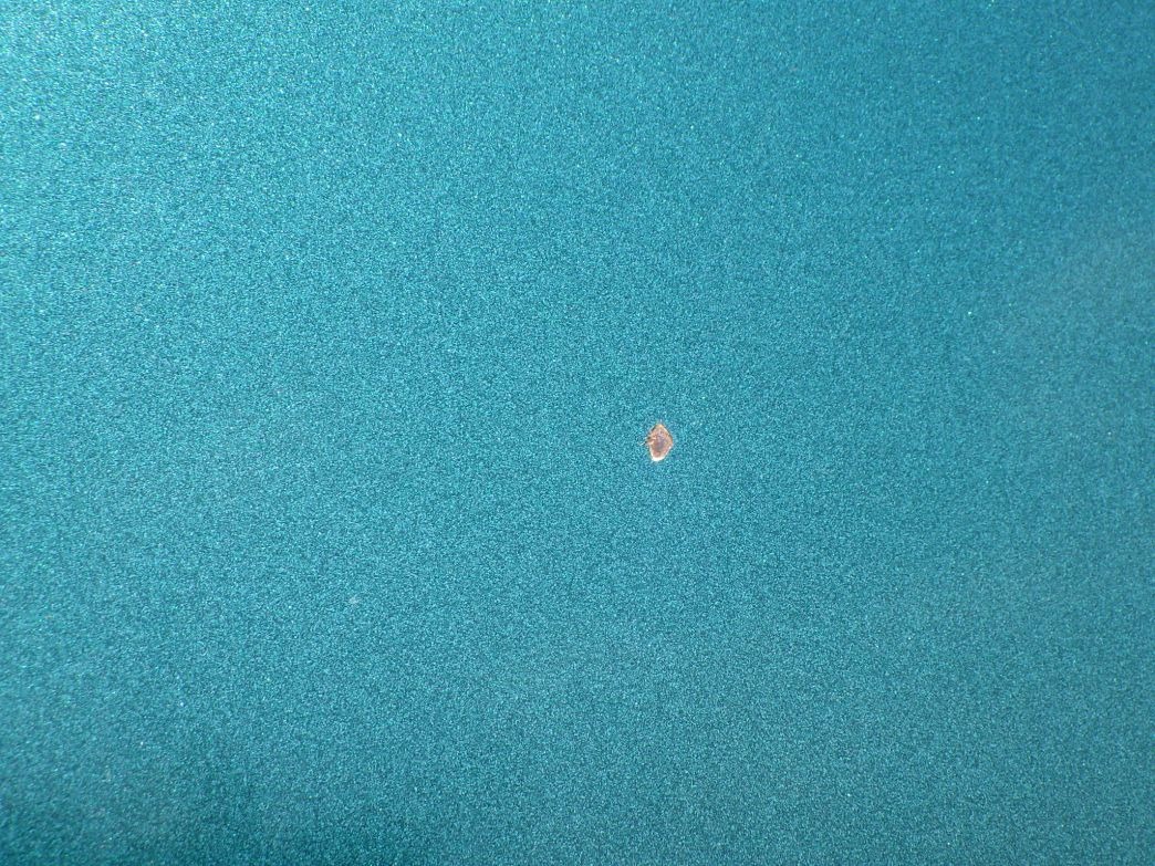 フロントパネルに飛び石キズがあります。|UDトラックス クオン QKG-CD5YLの写真26
