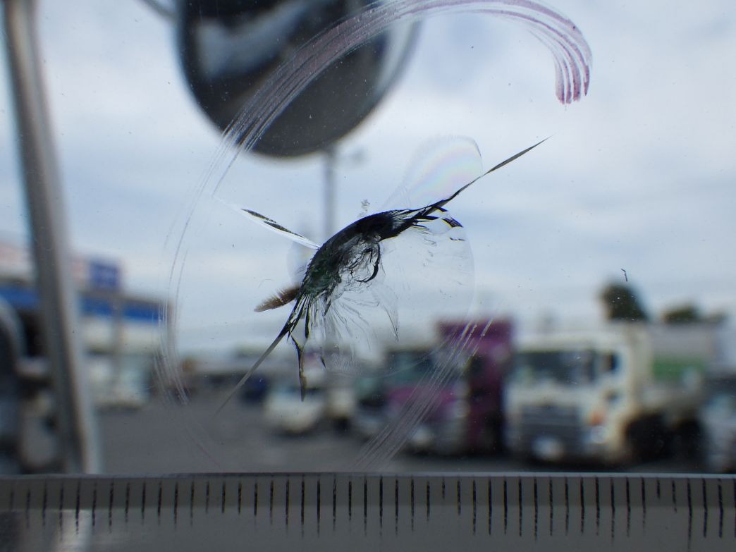 フロントガラスに飛び石キズがあります。|UDトラックス クオン 2PG-CD5CLの写真17