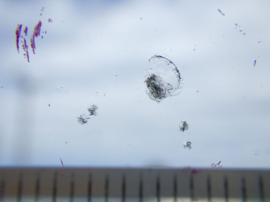 フロントガラスに飛び石キズがあります。|いすゞ ギガ QKG-CYJ77Aの写真12