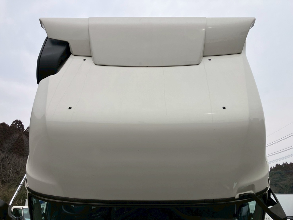 ルーフの状態です。|日野 プロフィア 2DG-FW1AHCの写真21