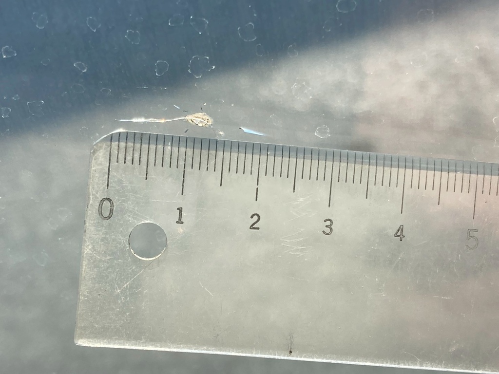 フロントガラスに飛び石が有ります|日野 プロフィア QPG-SH1EDDGの写真23