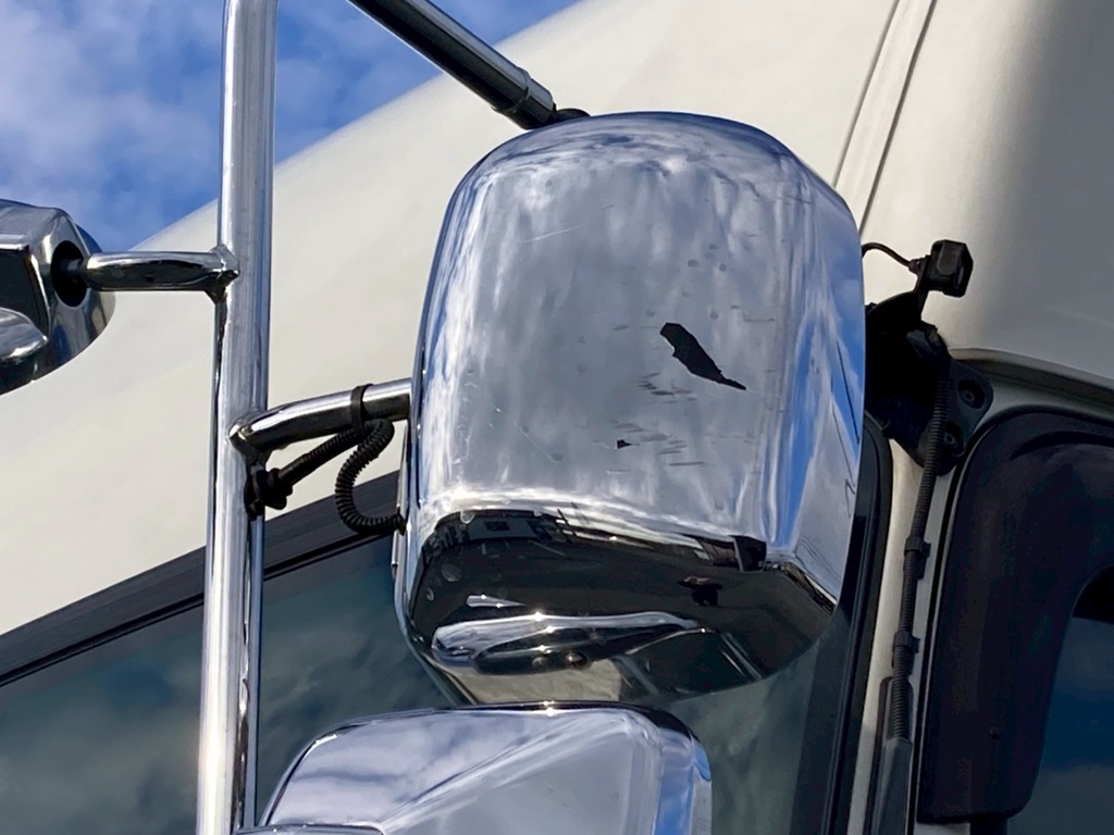 19|いすゞ ギガ 2PG-EXD52CEの写真19