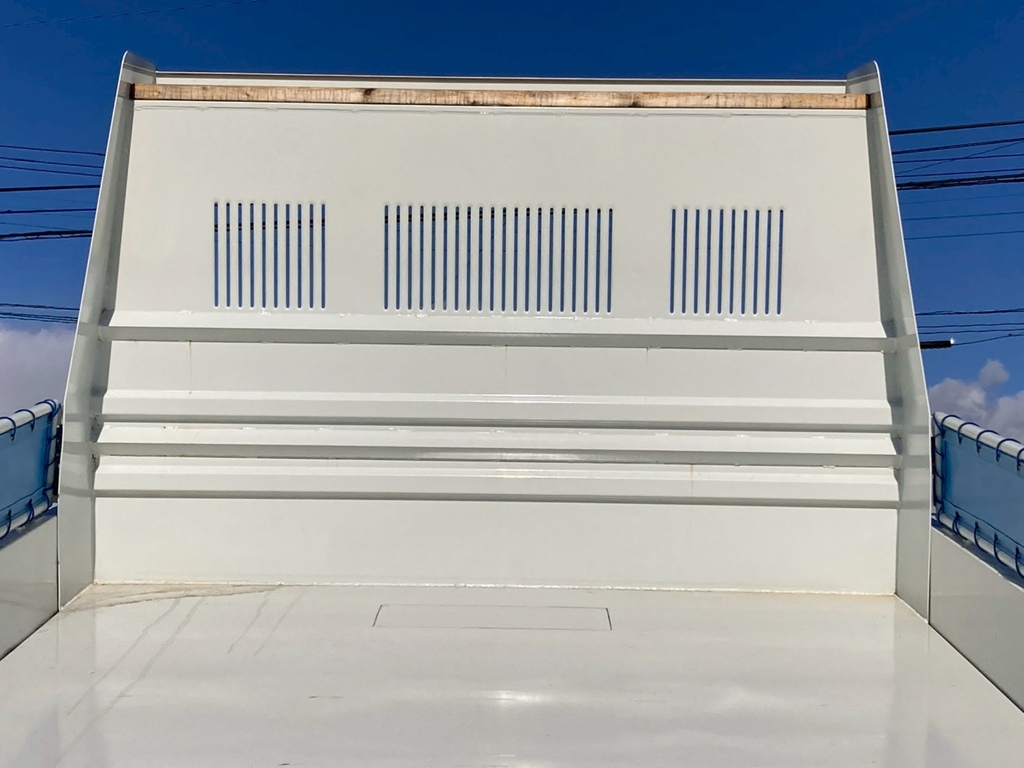 プロテクターの状態|いすゞ フォワード 2RG-FRR90S4(2WD)の写真11