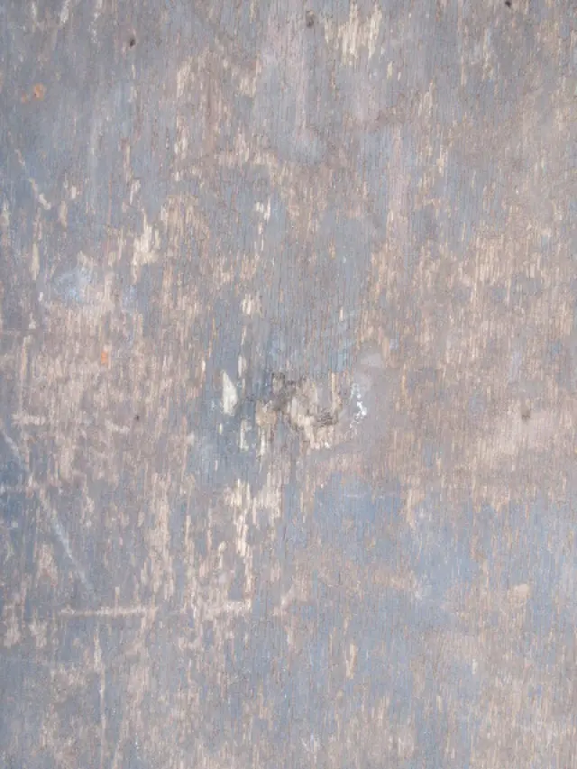 日産 アトラス KR-AKR81LAR(2WD)の写真33