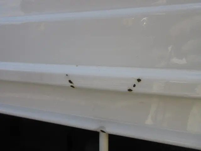 トヨタ ダイナ LDF-KDY281(4WD)の写真48