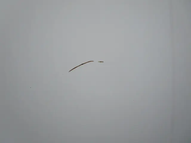 いすゞ エルフ TRG-NJR85A(2WD)の写真40