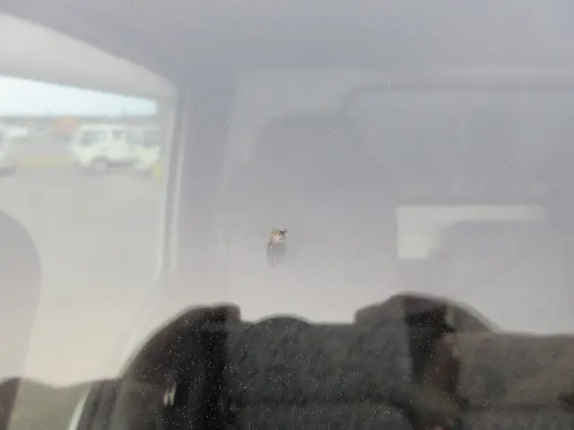 いすゞ エルフ KR-NKR81EA(2WD)の写真41