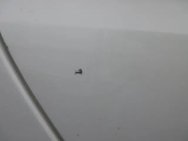 トヨタ ダイナ LDF-KDY271(4WD)の写真45