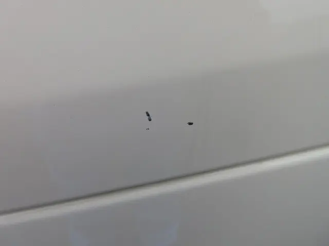 日野 デュトロ 2RG-XZC605M(2WD)の写真48