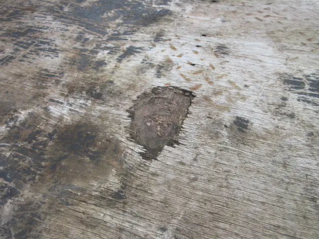 いすゞ エルフ TRG-NJS85A(4WD)の写真45