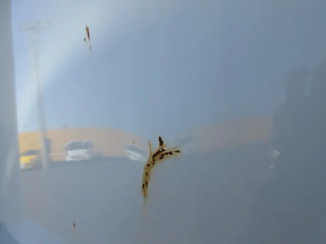 いすゞ フォワード 2RG-FRR90S1(2WD)の写真43