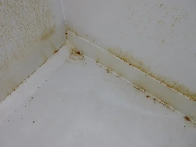 いすゞ エルフ 2RG-NKR88AN(2WD)の写真48