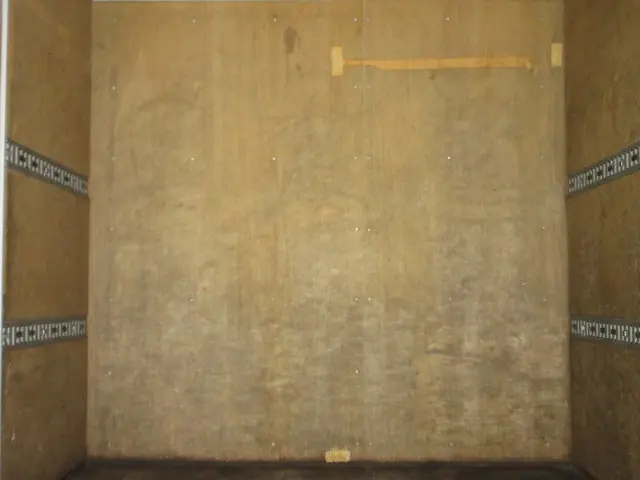 三菱 キャンター 2PG-FEB80(2WD)の写真11