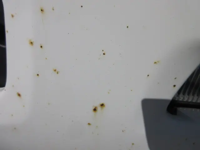 いすゞ フォワード 2RG-FRR90S2(2WD)の写真20