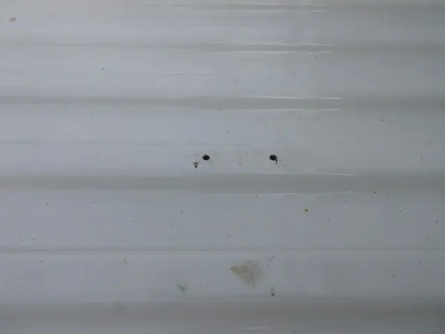 トヨタ ダイナ LDF-KDY281(4WD)の写真42