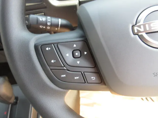 日産 アトラス 3DF-AHR87AF(2WD)の写真17