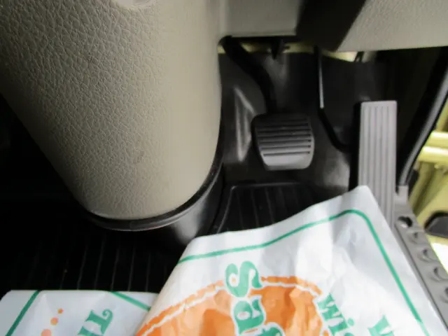 日産 アトラス CBF-SQ2F24(2WD)の写真28