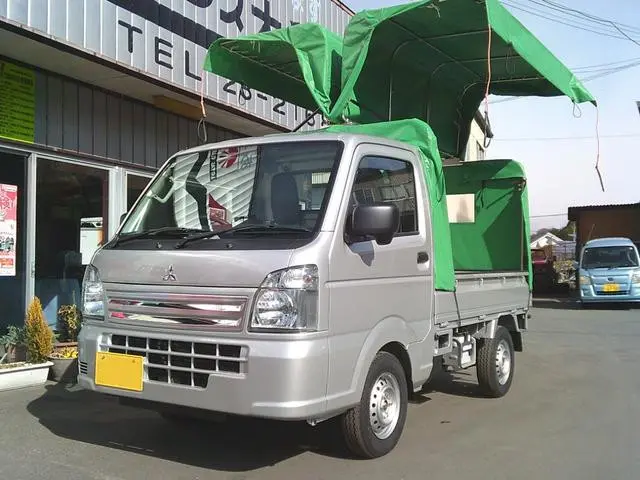 三菱 ミニキャブトラック 3BD-DS16T(4WD)の写真1