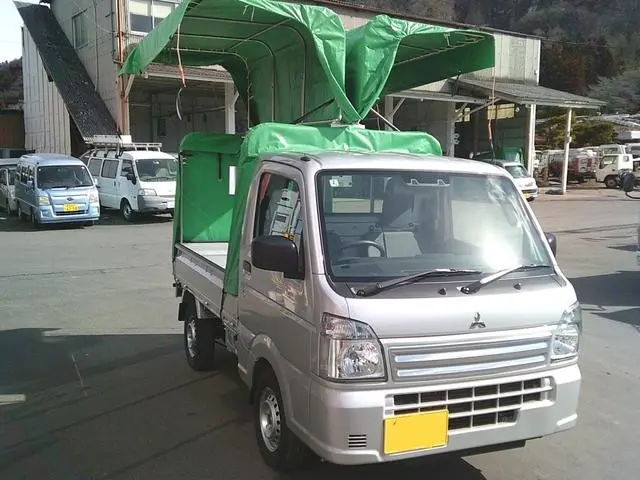 三菱 ミニキャブトラック 3BD-DS16T(4WD)の写真12