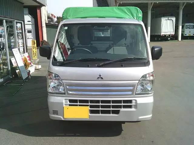 三菱 ミニキャブトラック 3BD-DS16T(4WD)の写真13