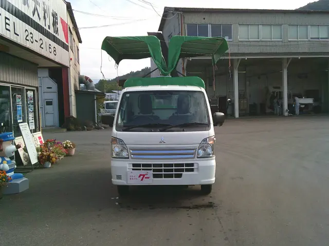 三菱 ミニキャブトラック 3BD-DS16T(4WD)の写真2