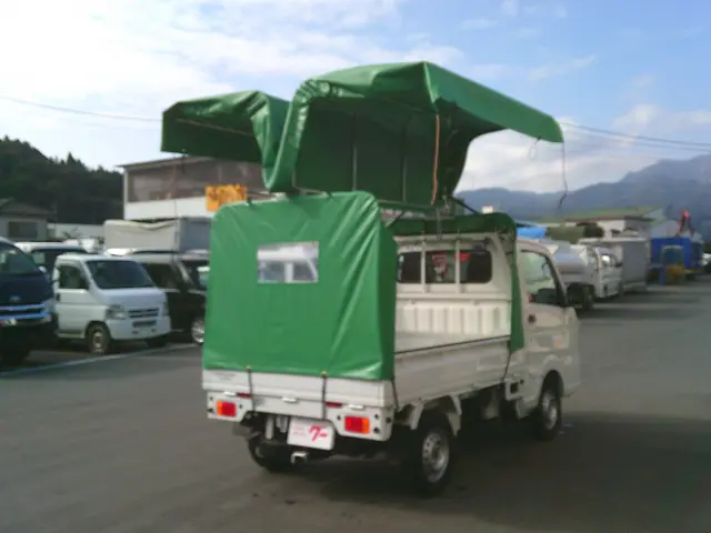 三菱 ミニキャブトラック 3BD-DS16T(4WD)の写真4