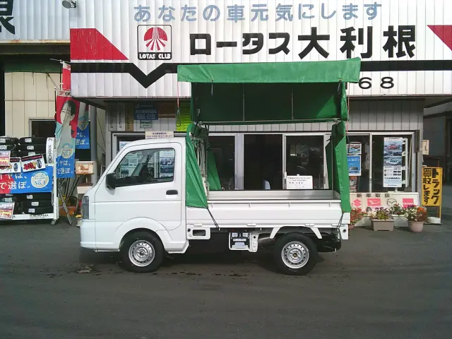 三菱 ミニキャブトラック 3BD-DS16T(4WD)の写真7