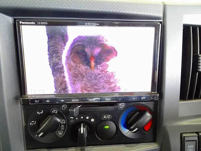 いすゞ エルフ TRG-NHR85A(2WD)の写真14